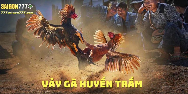 Vảy gà huyền trầm