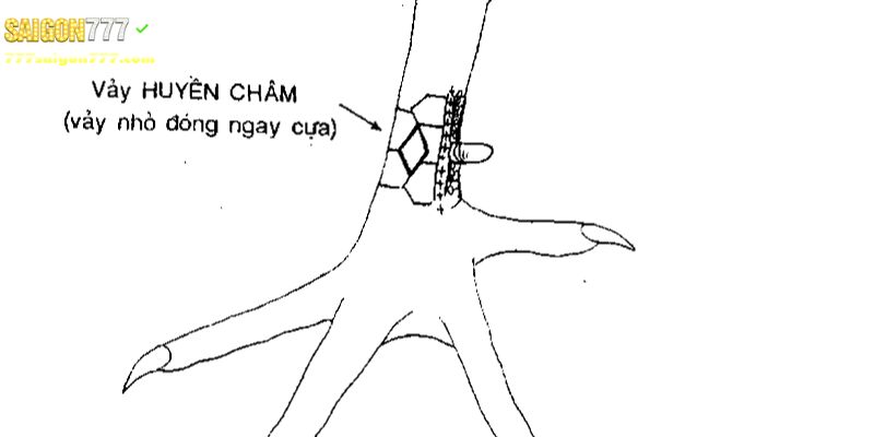 Vảy huyền trầm (huyền châm) nằm ngang cựa