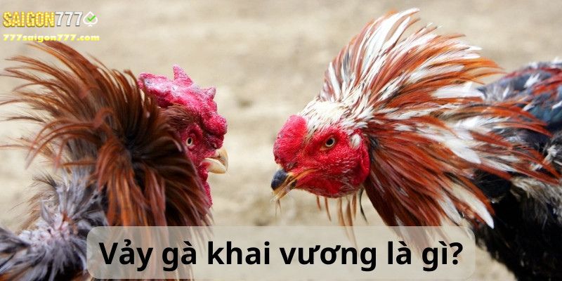 Sơ lược về vảy gà khai vương