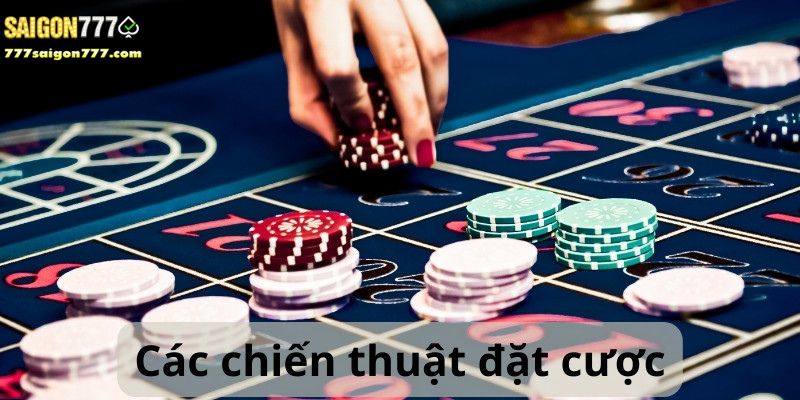 Các chiến thuật cơ bản cần biết khi cá cược vảy gà tam tài